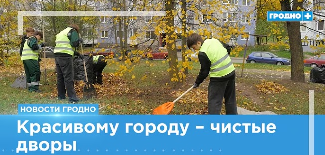 Красивому городу — чистые дворы